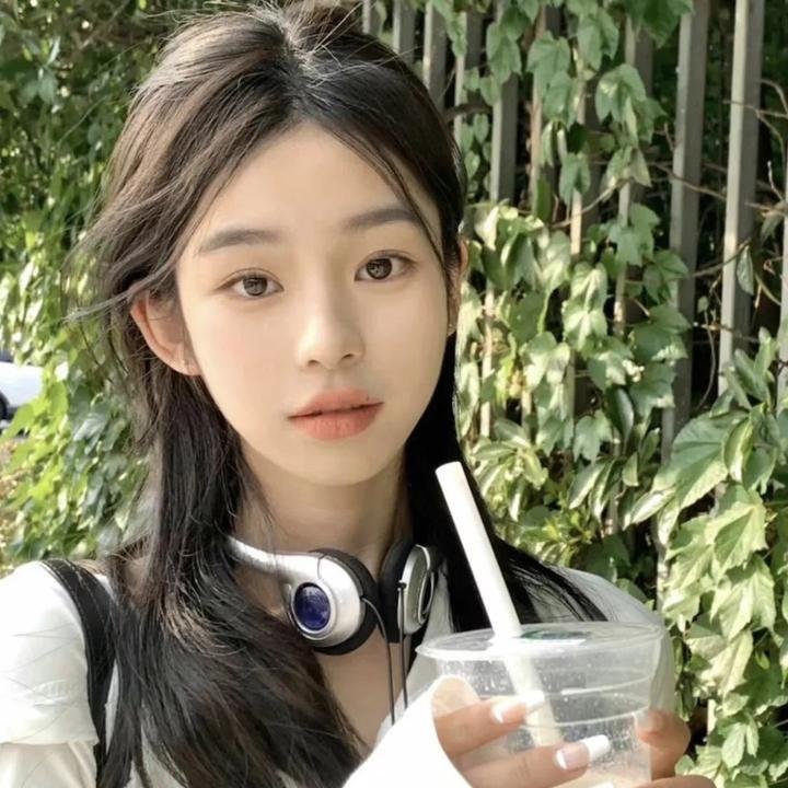 恐龙·怪鸟的传说